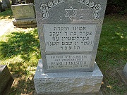 PERLSTEIN-Pearl