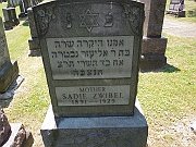ZWIBEL-Sadie