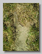 P5230626