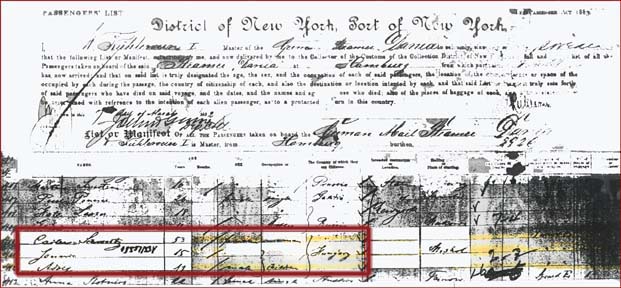 Document