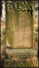 Kellner