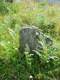 Mizhhirya-cemetery-I-131