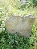 Mizhhirya-cemetery-I-169