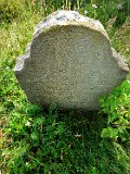Mizhhirya-cemetery-I-186