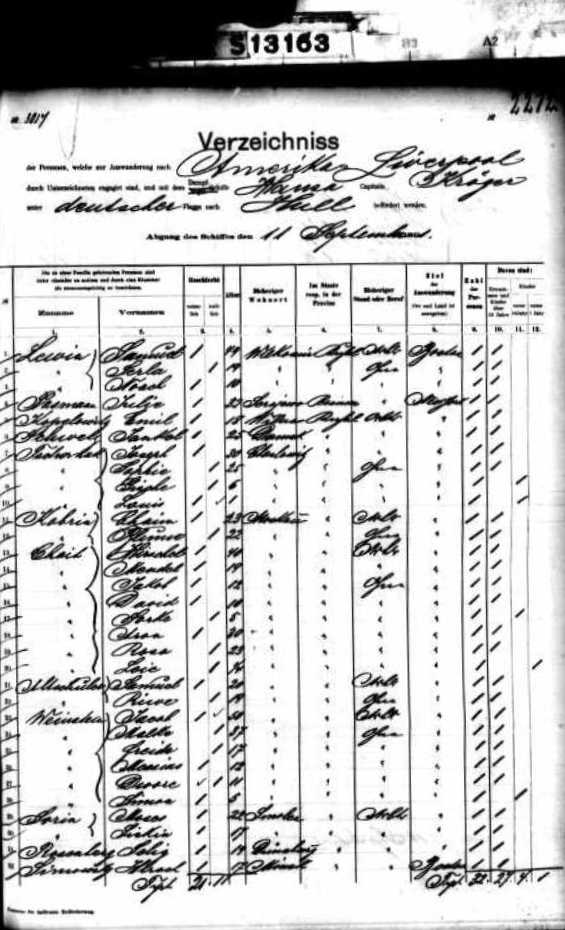 Ship Passenger Manifest