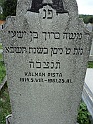 Mukacheve-Cemetery-stone-099