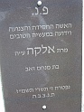 Mukacheve-Cemetery-stone-555