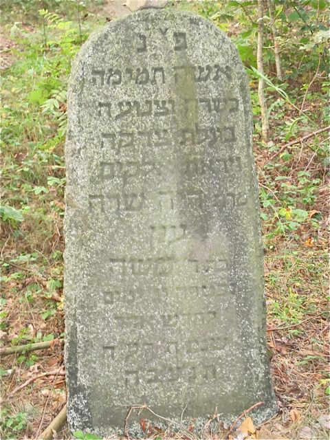 Chaya Sara Ain