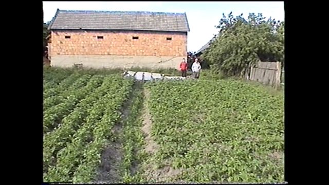 Backyard in
            Narewka