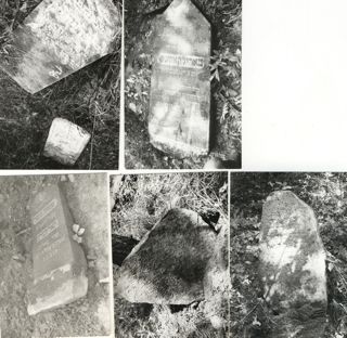 Narewka Jewish Cemetery
