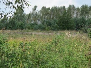 Site of
                            Glassworks