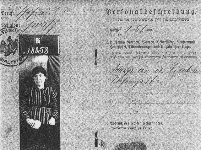 Passport Photo