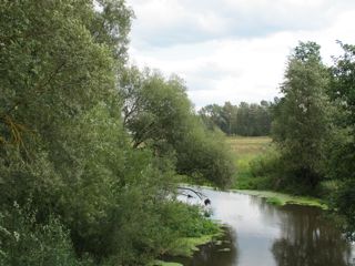 Narewka River in Narewka