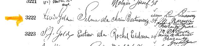 Rosenbaum Steamship Ticket
        Purchase Record