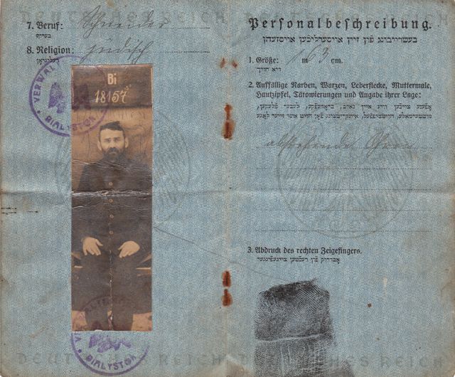 Passport 3