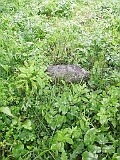 NoveSelo-Tiszaujheley-tombstone-renamed-01