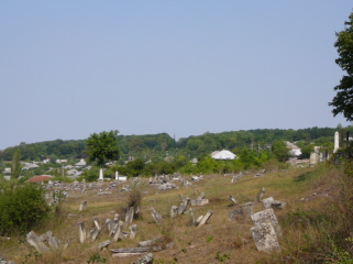 View 1