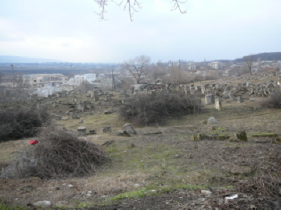 View 10