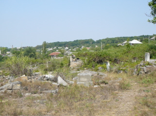 View 7