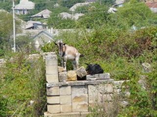 View 8