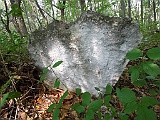 Patskanovo-tombstone-23