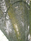 Pavlovo-tombstone-001