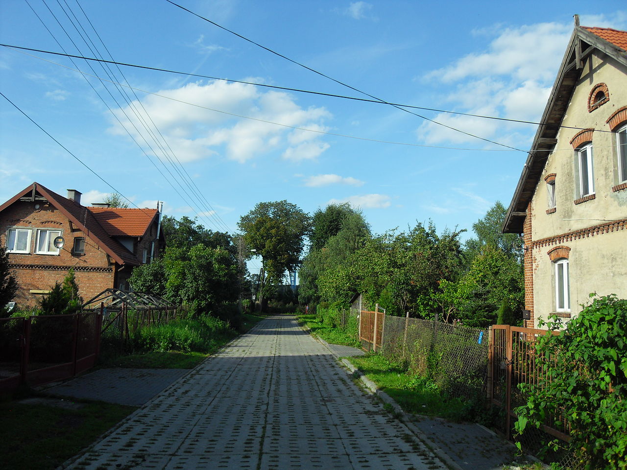 Rudniki