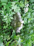 Perechyn-tombstone-08