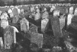 img016.jpeg.small.jpeg