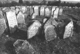 img017.jpeg.small.jpeg