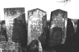 img028.jpeg.small.jpeg