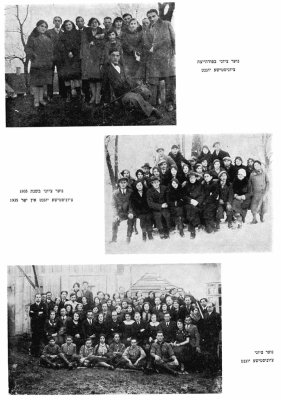 019-0119abc.jpg.medium.jpeg
