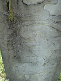 Pryborzhavske-stone-012