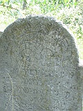 Pryborzhavske-stone-041