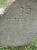 Pryborzhavske-stone-056