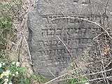 Pryborzhavske-stone-064