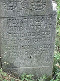 Pryborzhavske-stone-065