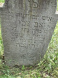 Pryborzhavske-stone-080