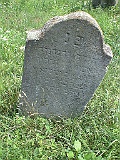 Pryborzhavske-stone-113