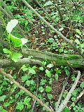 Pryslip-tstone-225