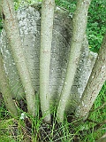 Pryslip-tstone-655