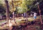 Inside the Cemetery