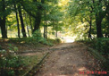 Zamek Park