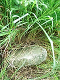 Puzniakivtsi-tombstone-06