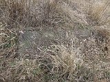 Radvanka-tombstone-16
