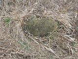 Radvanka-tombstone-19