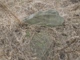 Radvanka-tombstone-23