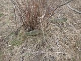 Radvanka-tombstone-24