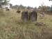 04RozhCemeteryOld