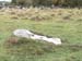 07RozhCemeteryMoundsSwallow